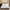 White, variant on Shunjie.Home Fitted Sheet Only Twin XL Size 2 Pack, 100% Egyptian Cotton, 600 Thread Count, 16" Deep Pocket, White