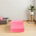 thumbnail image 4 of LOLIPPYY Two Step Foldable Pet Stairs with Non Slip Design for Safe Indoor Use on Bed Sofa Or Couch, 4 of 6