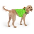 thumbnail image 5 of Vibrant Life Halloween Monster Costume for Dogs, Multicolor, Medium, 5 of 8