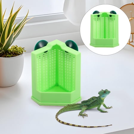 BESTYASH Space Saving Green Plastic Reptile Feeder Cup with Suction Mount for Wall Use