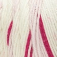 thumbnail image 3 of Red Heart® All In One Flower Power™ #4 Worsted (Medium) Acrylic Yarn, 8.8oz/250g 417 Yards, 3 of 5