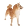 thumbnail image 3 of de modelo de animales de simulación, juguete educativo para niños, decoración , de , adornos para tartas , Amarillo Shiba Inu 11x3.7x9.8cm, 3 of 7