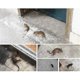 thumbnail image 2 of 1,2 m Invisible Sticky Rat Board Manta de control de ratas S Etiqueta adhesiva para ratas 5 paquetes, 2 of 2