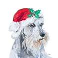 thumbnail image 3 of Pinto, Patricia 20x20 Black Modern Framed Museum Art Print Titled - Holiday Dog IV, 3 of 5