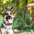 thumbnail image 3 of Pet Artist 5ft Genuine Leather Dog Leash Heavy Duty Walking Training Leashes Strong with Ring, 3 of 7