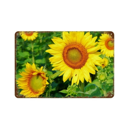 Vintage Metal Tin Signs Wall Art Decorative