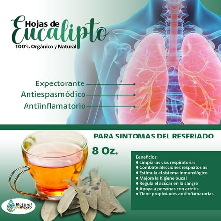 product image of HOJAS DE EUCALIPTO Eucalyptus PARA TE 1 PAQUETE DE 8OZ