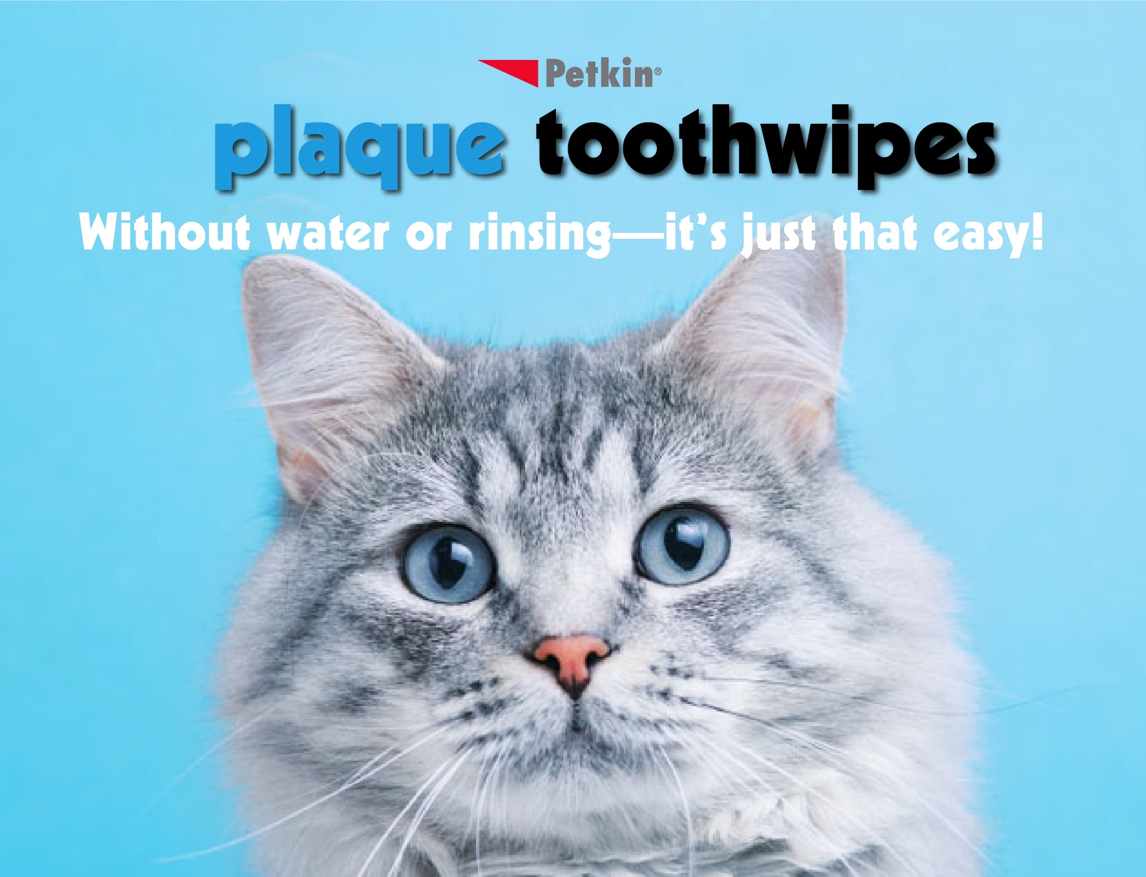Petkin plaque sale wipes