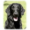 thumbnail image 2 of CafePress - Flat Coated Retriever 9Y040D 040 Mug - 11 oz Ceramic Mug - Novelty Coffee Tea Cup, 2 of 4
