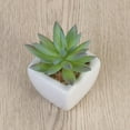 thumbnail image 2 of MLINS Cute Fake Succulent Plants in White Ceramic Planters for Decor Use 4Pcs Mini Assorted Green 3.5x3.5x3.5 Inches, 2 of 8