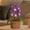 Purple, variant on Partheme Hand Crocheted 9 Head Lily of The Valley Potted Plant with LED Lights, Milk Cotton Yarn Desktop Ornament for Home Office, Soft Craft Decor, Pink