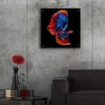 thumbnail image 5 of Epic Art 'Flamenco Fighter' by Epic Portfolio, Acrylic Glass Wall Art, 24"x24", 5 of 8