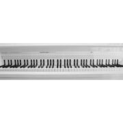 Long Beach Music Practice Keyboard Chart, 3-D Full-Sized, 88 Keys and Notes, 2-Sided, 48 Long