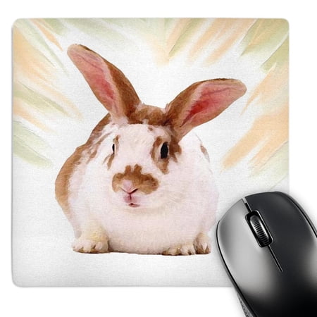 3dRose  Rabbit  MousePad price history on PriceWatchPro