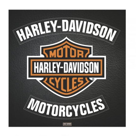 Harley Davidson - Leather Poster (16 x 16)