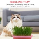 Catnip Compensated Felines With Cat Grass Reference: Nuolux Cat Grass Planter Pink Hydroponic Catnip Planting Box Durable