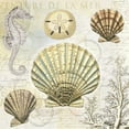 thumbnail image 2 of Lula Bijoux and Company 15x15 Black Ornate Wood Framed with Double Matting Museum Art Print Titled - Shell 2, 2 of 4