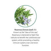 Botanic Choice Rosemary Leaf Liquid Extract , 1 oz