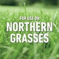 thumbnail image 4 of Roundup for Lawns Ready-to-Use with Trigger Sprayer, Tough Weed Killer for Use on Northern Grasses, 1 gal., 4 of 9