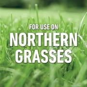Roundup for Lawns Ready-to-Use with Trigger Sprayer, Tough Weed Killer for Use on Northern Grasses, 1 gal.