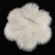 thumbnail image 1 of Alfombra de Peluda con , Alfombrilla para El , Felpudo para , Alfombrilla de , Cojín para Asiento, Decoración para Gris claro Macarena Alfombra de peluche, 1 of 4
