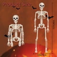 thumbnail image 3 of TETOU 2 Packs Halloween Skeletons, 14.9" Halloween Full Body Skeleton with Posable Joints for Haunted House Graveyard Props Decor, 3 of 7