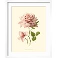 thumbnail image 2 of Art.com Victorian Rose I Art Print by R^ Guillot, White Frame Wall Art, 17" x 21", 2 of 5