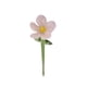 thumbnail image 5 of Mini flor de cristal artificial decorativa, artesanía creativa, decoración. Rosa, 5 of 9