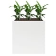 thumbnail image 2 of Heavy Duty Metal Planter Box ,Large Tall Rectangle Planter Box with Removable Insert Shelf for Garden,Porch,Patio,Yard(White, 24”x10”x24”), 2 of 23