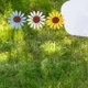 thumbnail image 4 of unbranded 10Ud Estacas De Girasol Artificial Para De Jardín Patio Y, 4 of 6