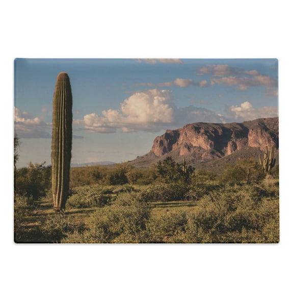 Saguaro Cutting Board, Mountain State Park with Non Spiral Sided Leaf Aleo Storage Landscape Photo, Decorative Tempered Glass Cutting and Serving Board, Large Size, Brown Blue Green, by Ambesonne