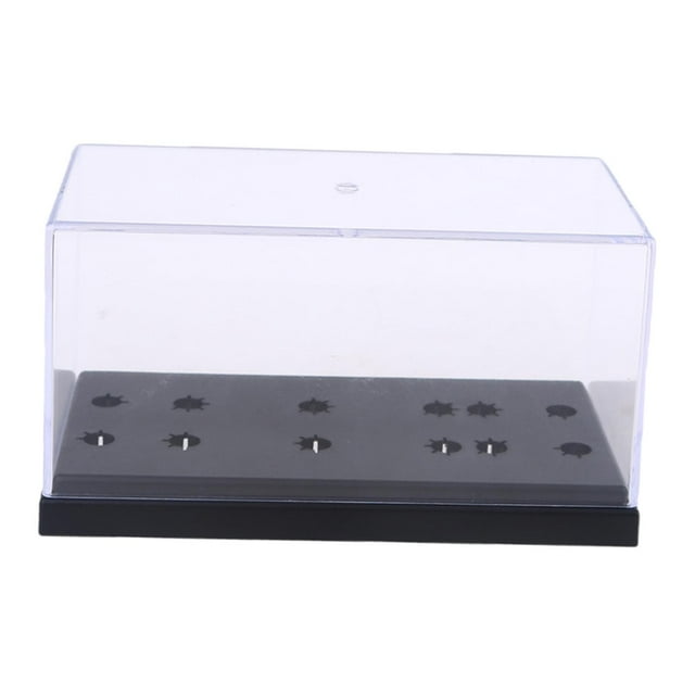 lionlar Transparent Turntable Cartridge Headshell Box Decorative Cartridges Keeper Phono