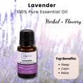 Mainstays 100% Pure Essential Oil, Lavender, 15 ml, Therapeutic Grade, for use with Oil Diffusers, Potpourri, and Wicking Fragrance Diffusers