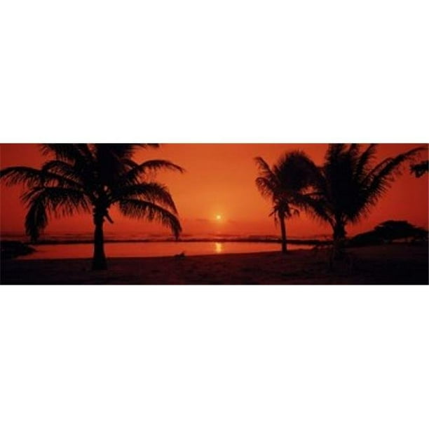 Panoramic Images PPI103903L Silhouette de Palmiers sur la Plage au Crépuscule Parc de Lydgate Kauai Hawaii USA Affiche Imprimée par Panoramic Images - 36 x 12