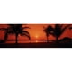 Panoramic Images PPI103903L Silhouette de Palmiers sur la Plage au Crépuscule Parc de Lydgate Kauai Hawaii USA Affiche Imprimée par Panoramic Images - 36 x 12 – image 1 sur 1