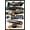 Black Framed Version, variant on Jurassic World: Rebirth (2025) - Colossal Giants Wall Poster, 22.375" x 34"