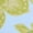 Green Lovat Multicolor, variant on Time and Tru Women's Low Rise Bikini Bottoms, Sizes XS-XL