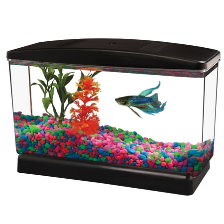 Aqua Culture BettaView Half Gallon Fish Tank (Best Betta Aquarium Setup)