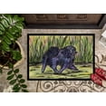 thumbnail image 3 of Carolines Treasures SS8444JMAT Pomeranian Paillasson - 24 x 36 Po., 3 of 4
