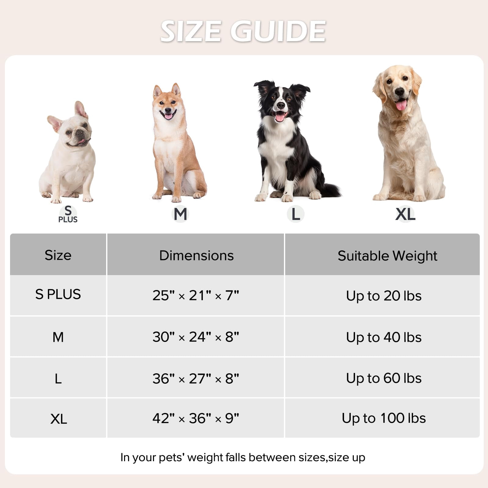 Small Dog Bed Rectangle Washable Orthopedic with Removable Zipper Cover Cozy Clouds Black-S Plus 25"x21"x7"