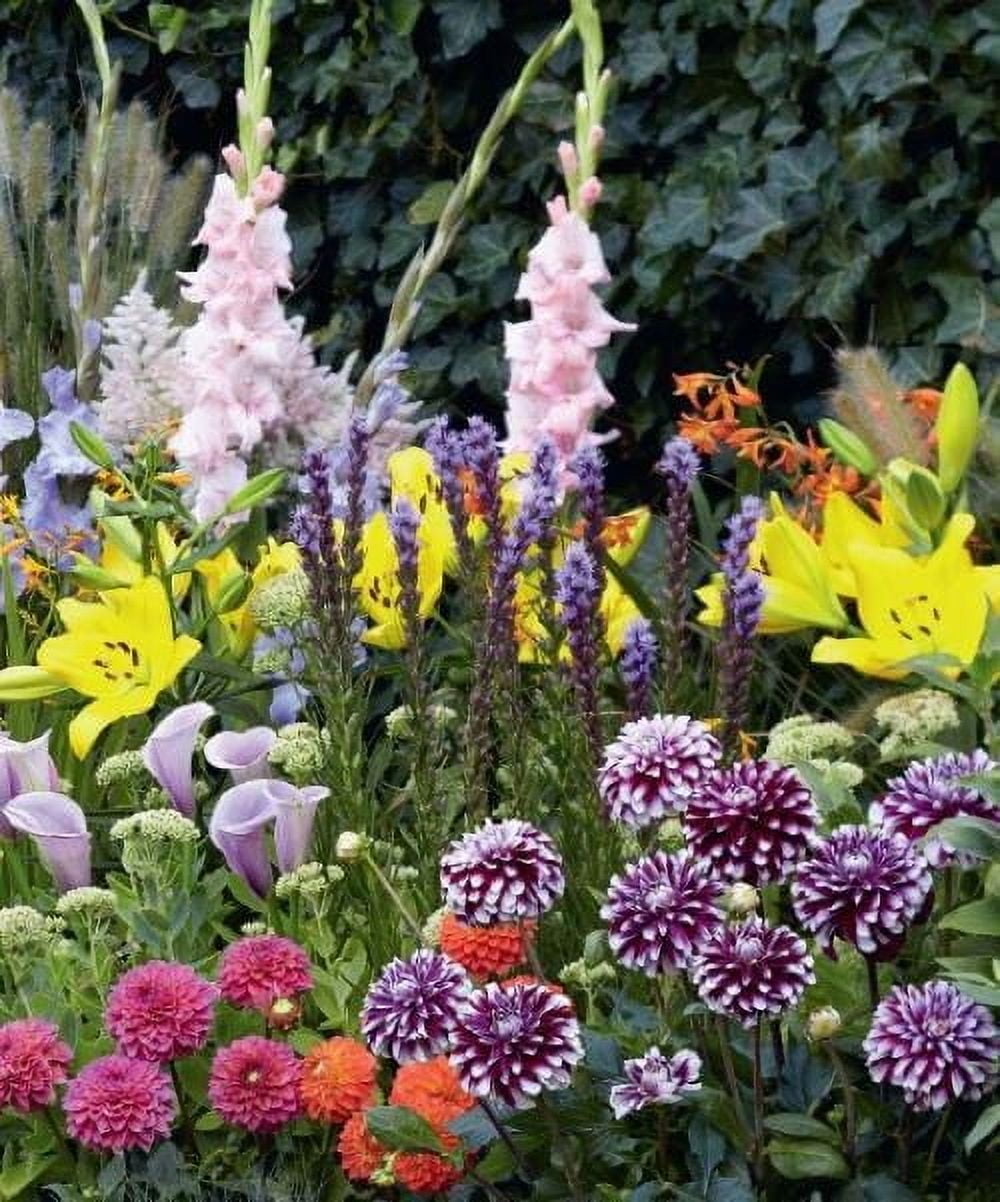 Collection de bordures d'été