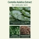 thumbnail image 5 of Sérum hidratante calmante Pyunkang Yul con centella asiática, 30 ml, 5 of 9