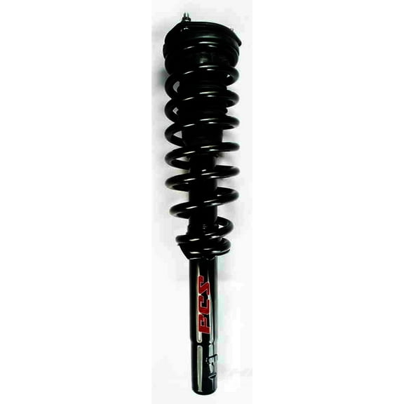 Suspension Strut and Coil Spring Assembly