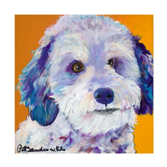 Pat Saunders-White 'White Shnoodle' Canvas Art