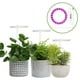 thumbnail image 3 of de ángel Cultive Light DC5V USB Planta Luz para semillas de planta de interior Subculents Plantas de semillas Flores de flores en inter claro A Macarena Grow Light, 3 of 8