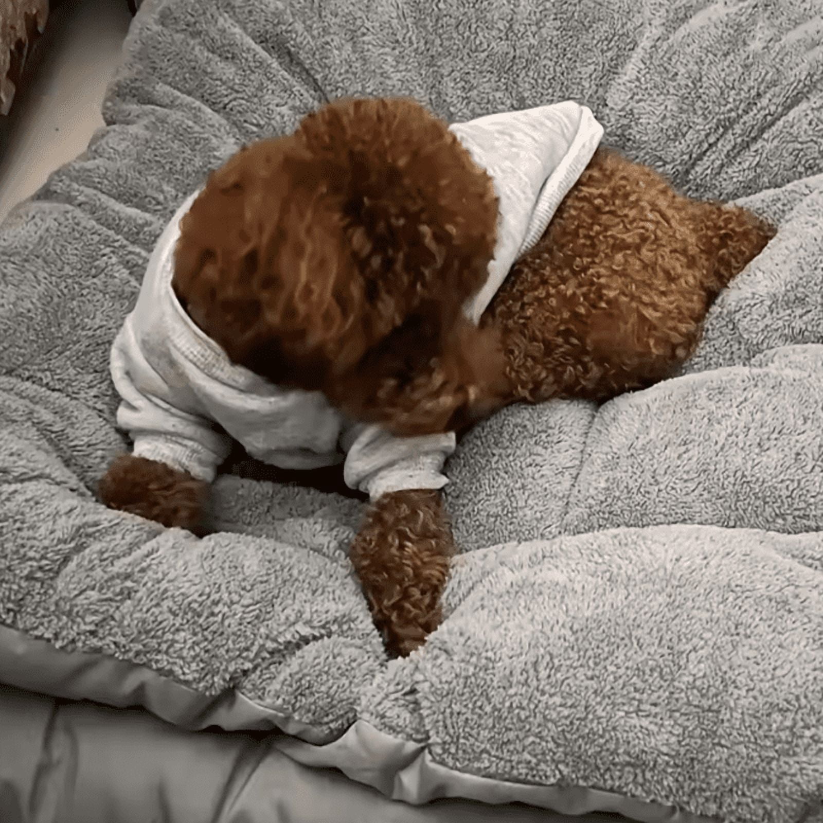 Dog Pet Beds 120*60cm Extra Large Plush Dog Bed Sofa Thickened Super Soft Polyester Pet Mat Dog Crate Mat Bed For Large Dog Bed
