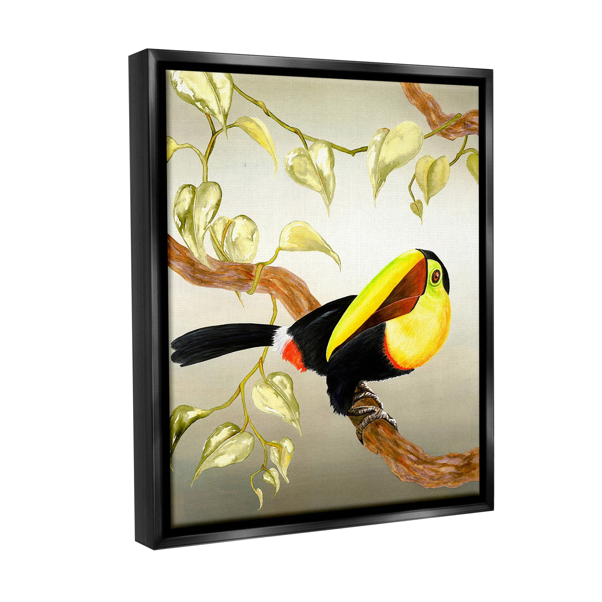 Stupell Industries Toucan Perched on Branch Animals & Insects Painting Black Floater Framed Canvas Art Print Wall Art, 17 x 21