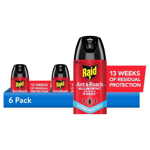 (2 pack) Raid Ant & Roach Killer Insecticide Spray-Outdoor Fresh - 17.5 oz