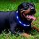 thumbnail image 4 of Collar de perro LED, Collar de perro de mascota brillante recargable por USB para seguridad nocturna, Collar de luz de moda para perros pequeños, medianos y grandes Xemadio 2034483-3, 4 of 9
