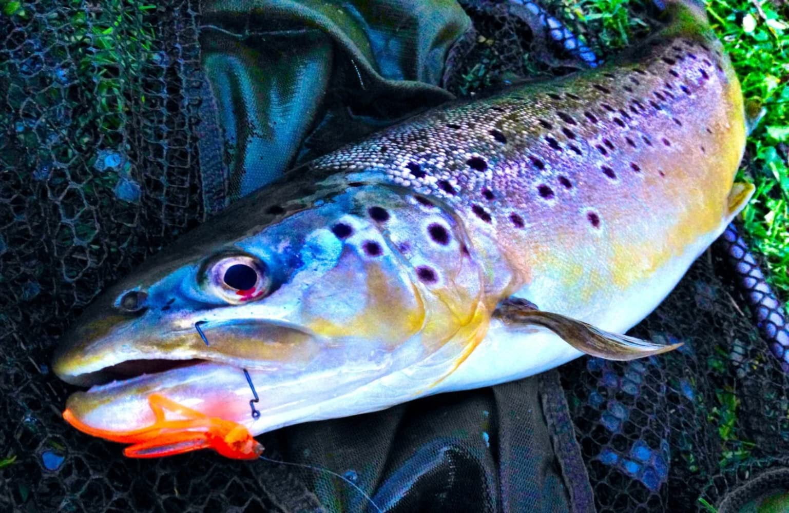 Berkley PowerBait 1" Power Nymph